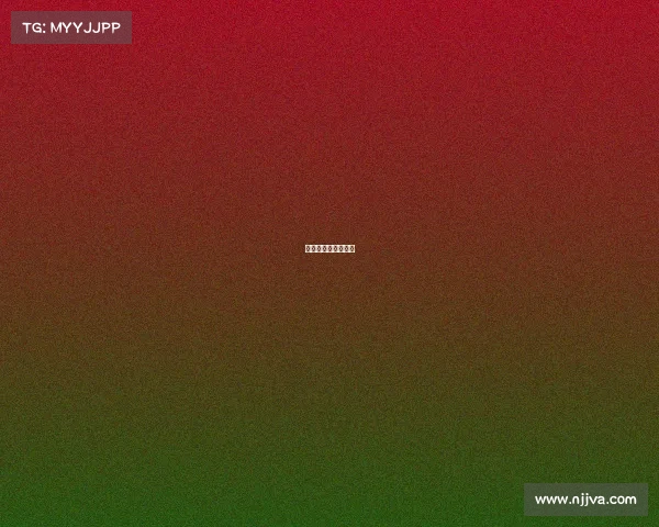 参加搏击比赛赚钱吗